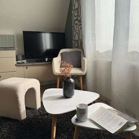 2 Chambres, Centre Ville, Parking Prive Clos, Local Velo