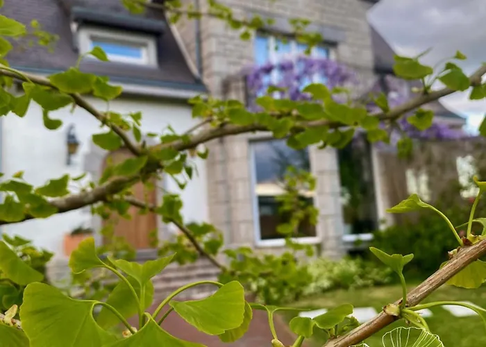 Medena - Classe 3 Etoiles Διαμέρισμα *